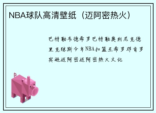 NBA球队高清壁纸(迈阿密热火)